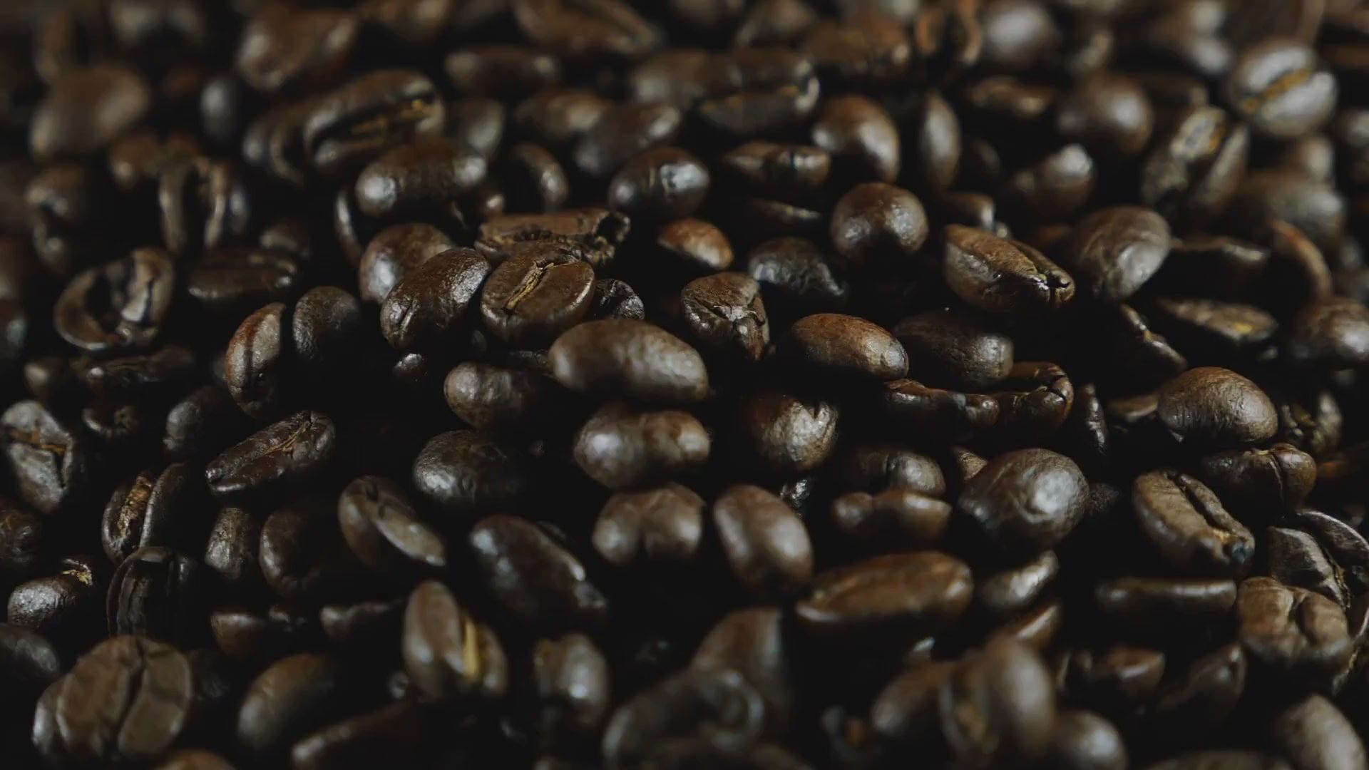 fresh roasted coffee beans Mama Bearista Coffee