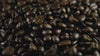 fresh roasted coffee beans Mama Bearista Coffee
